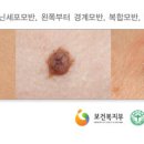 새롬의원 이미지