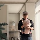 세수파파 | 힙시트 아기띠 허그파파 다이얼핏 맥스 착용법 키큰아빠 착용샷