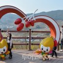 산수유꽃길로 이미지