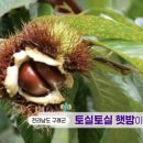 내고향농수산물 이미지