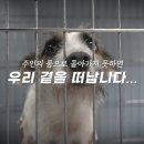 어나더필름 이미지