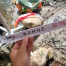 비에이치씨(BHC) 영천신녕점 이미지