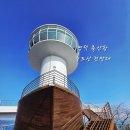 대진축산 | 영덕 축산항 죽도산전망대 블루로드B 둘레길 해파랑길21코스 산책