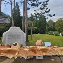 이리오솝 이미지