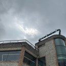 양지울