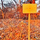 마봉재보루 이미지