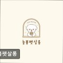 늘봄펫살롱