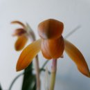 (주)금화 이미지