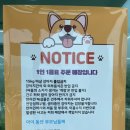 피피비피 이미지