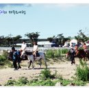 서광자동차랜드 이미지