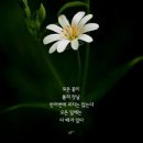 후라이의꿈