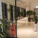 휴스크린골프 이미지