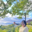 오사카 4박 5일 가족여행 일정 (교토, 기노사키 포함)