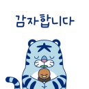 노크에스티카페 네이버블로그
