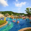 오크벨리 이미지