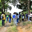 현일초등학교 이미지