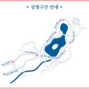 언론기관부설 | 창경궁 물빛연화 직접 다녀온 후기, 입장료 천 원에 이런 야경이라니