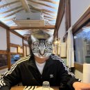 11620-21-139-1 | 남양주 팔당 데이트 맛집 한옥에서 pizza 온고재 : 화덕피자 파스타 주말 방문 후기