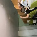 점호목장 네이버블로그
