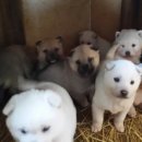 화성농장 이미지