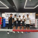 파이널복싱짐다대관 이미지