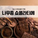 일산오렌지충전소 | 일산 수제초콜릿 전문 정발산동카페 | 로쉐와 파베맛집 나무종쇼콜라티에