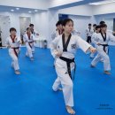 용인대 한빛 태권도장 이미지