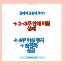 BODY PT 공주짐 네이버블로그