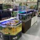 하나로 플라워 수족관 이미지