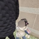 지유마트