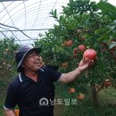 에덴식품영농조합법인 이미지