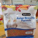 버드리농장 | 아가새농장, 버드리 구매 후기