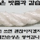 한맘한의원 이미지