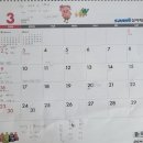 함앤정 | 아이모어 & 키앤정 3개월 내돈내산 후기