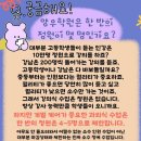 목포정명여자중학교 이미지