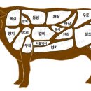 미트원 이미지