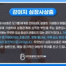 일곡동물병원 이미지