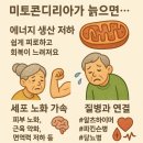 수메르뷰티