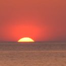 엠엔제이코리아 이미지