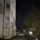 진팔팔감자탕 | 기장 해장국 맛집 찾는다면 여기 진팔팔 감자탕 직접 먹어본 후기