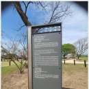동그라미여행사