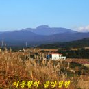 제주새별 이미지