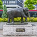 (주)홍이푸드 이미지