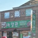 녹양관
