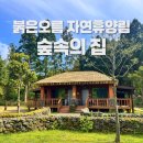 생각의 오름 | 제주 아이랑 숙소🌲 여기 진짜 제주스럽다 싶었던 붉은오름 자연휴양림 후기