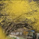 연인의길 화장실 이미지