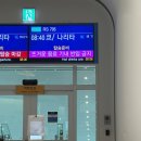 신사로 | [도쿄 여행] 일단 에노시마로 떠나버리는 도쿄여행