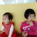 키즈팡팡 이미지