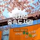 글혜윰작은도서관 | 아차산 숲속도서관 후기｜서울숲도서관 벚꽃 명소 + 주차 정보