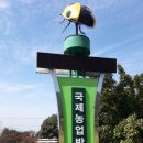 2017 전남 국제농업박람회 자원봉사 발대식을 다녀와서~